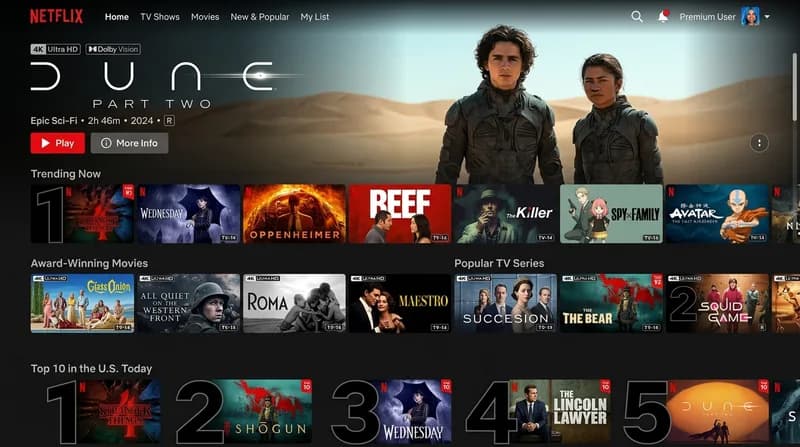 Netflix Premium UHD 4K interface preview